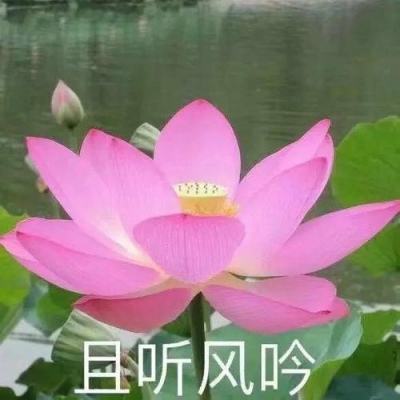 仙影缥缈录游戏